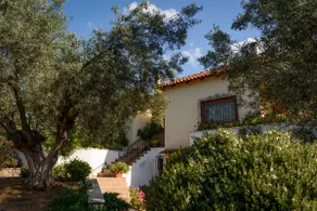 Danai's Apartment (in a beautiful olive grove) - Image 2