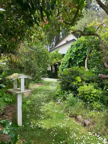 Tranquil 3 Bedroom Forest Cottage - Image 2
