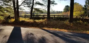 The Soper House-A Quaint & Lovely Country Getaway - Image 4