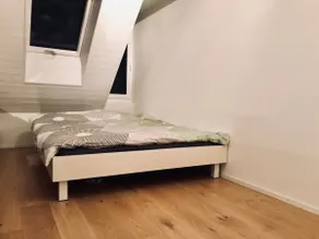 Downtown Duplex Apartment (140m2), incl. Parking - Image 5