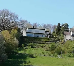 “Alpaca view” in the fabulous Soonwald - Image 3