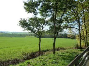 Feriendorf Sulzfeld (Sulzfeld), Amsel vacation home with terrace - Image 4