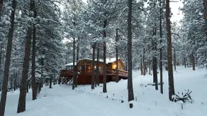Wooded 5 Acre Cool Peaceful Mountain Cabin Retreat - Image 3