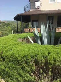 Deniz Mountain Farmhouse #2 - Image 2