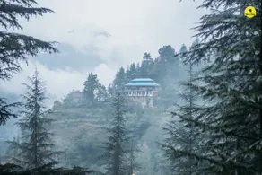 Spacious 5 bedroom cottage with rooftop, Jibhi - Image 4