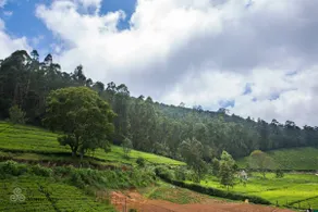 Serenity Homestay Kotagiri, Stream and Hill View - Image 2