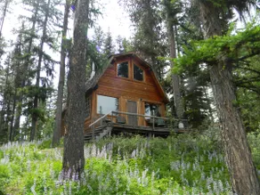 ”Elk's Run” cozy cabin nestled in the pines - Image 2