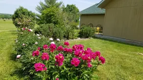 Guesthaus at Crescent Moon Winery - Image 4