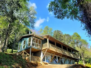 The House in the Forest overlooking the River. - Image 4