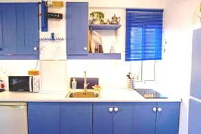 Casa blue fish - Image 4