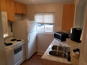 Entire unit/Hamilton falls/Mohawk college/Hills - Image 4