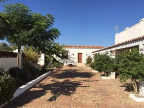 Extremadura farmhouse in pasture - Image 4