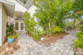 Tarpon Springs Fun in the Sun with a Pool, Beaches and Backyard Chickens - Image 3