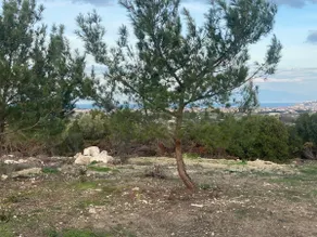 NefesURLA Bungalow 3 - Image 4