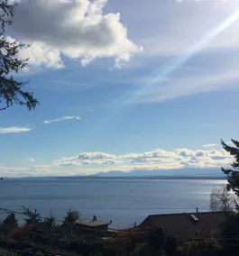 Whidbey Island west side “Seastar cottage”! - Image 5