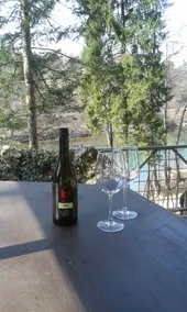 Beautiful Nature 25 meters from the river Sava - Image 3