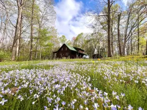 83 Acres | Cabin Hot-tub+FirePit+Orchard ~NR Gorge - Image 4