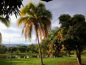 Finca Veracruz: Relax in Anapoima - Image 2