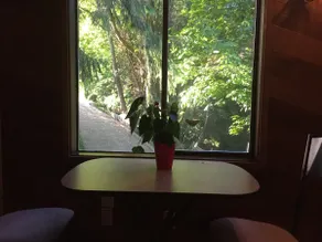 The Chuckanut “Treehouse” - Image 5