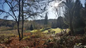 Eksklusivt unikt Woodland House Loch Ard Forest / Trossachs Aberfoyle - Image 2
