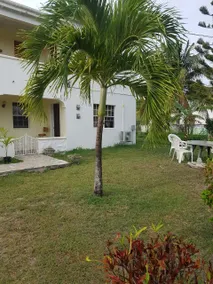 Quiet Oasis Near Beach and City - Image 4