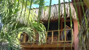 Town Center Private Apt., see Jungle, hear Surf, - Image 2