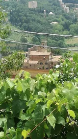 B&B La Rondinella - Image 5