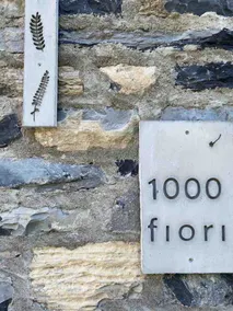 Casa 1000Fiori - Image 5