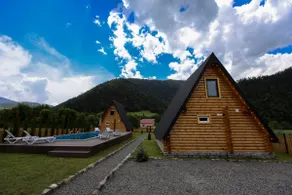 House Mtiani Borjomi With pool - Image 4