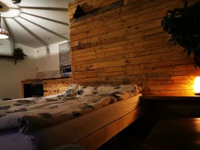 Quirky guest house with own garden in very well connected location - Image 2