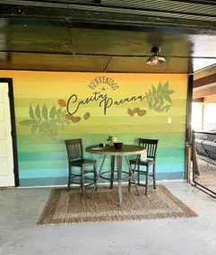Casita Pacana | Renovated 3BR Retreat Near Airport - Image 5