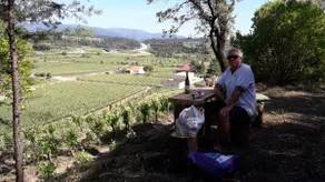 Casa Merlot, rustic winery with pool - Image 4