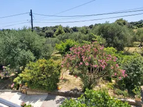 Luxury villa d'Oro - Image 4