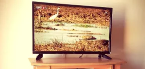 Teo-room - Image 3
