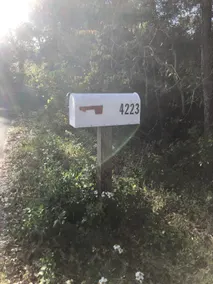 Timeless Tree Home 🕰 w/WiFi & 19 min to beaches - Image 2