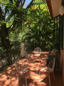 Paquetá: garden of affections! - Image 2