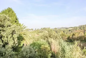 Una casa nel bosco - Image 5