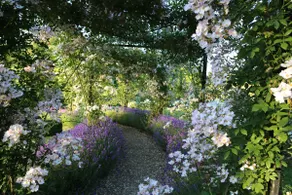 Walled Garden Cottage by Vineyard - Image 4