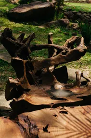 Puncak Rimba Villa Lata West East - Image 4