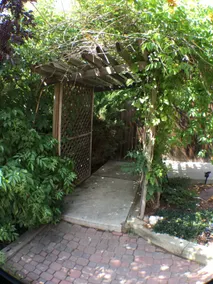 Walkout Garden Apt - Whole Space (1000 sq ft) - Image 2