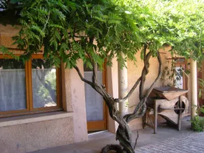 apartment in the countryside 1 - Image 2