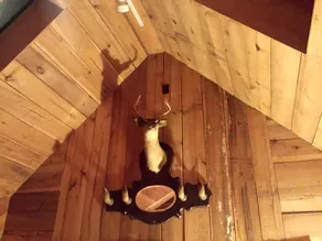Fox Tail Chalet at Claycomb Chalets - Image 2