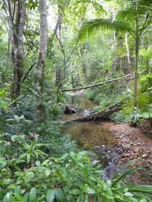 Moo Creek - Image 4