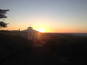 The House On The Hill Olive Grove - Image 4