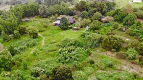 Kula Jacaranda Studio on the Slopes of Haleakala - Image 5