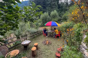 Spacious cottage in Jibhi near River - Image 5
