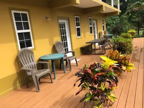 Tropical Apartments Tobago Coral & Palm apt - Image 3