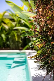 Casa Hibiscus B - Image 4