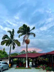 EL KAREY Private and Exclusive Hotel Estate - Image 3