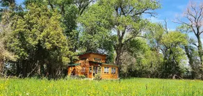 Treehouse - Image 3
